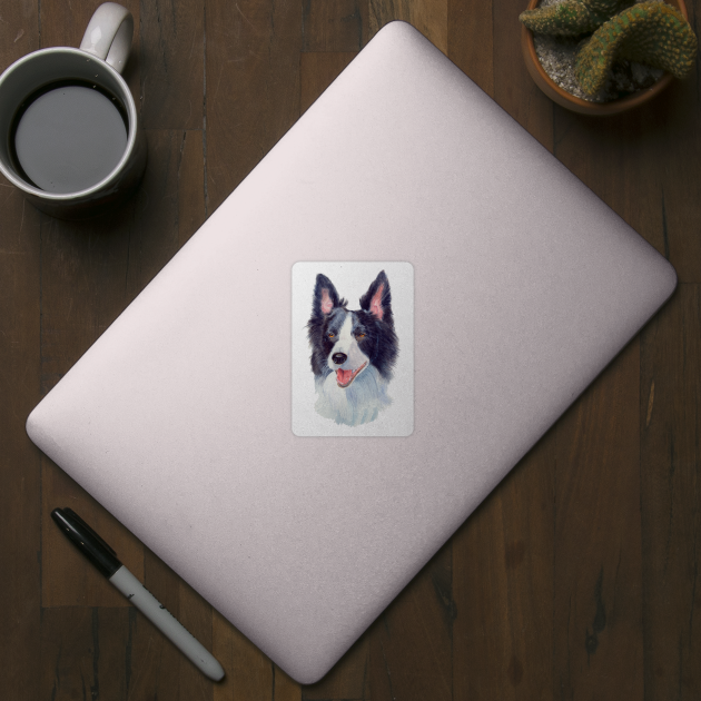 Border collie - akv1 by doggyshop